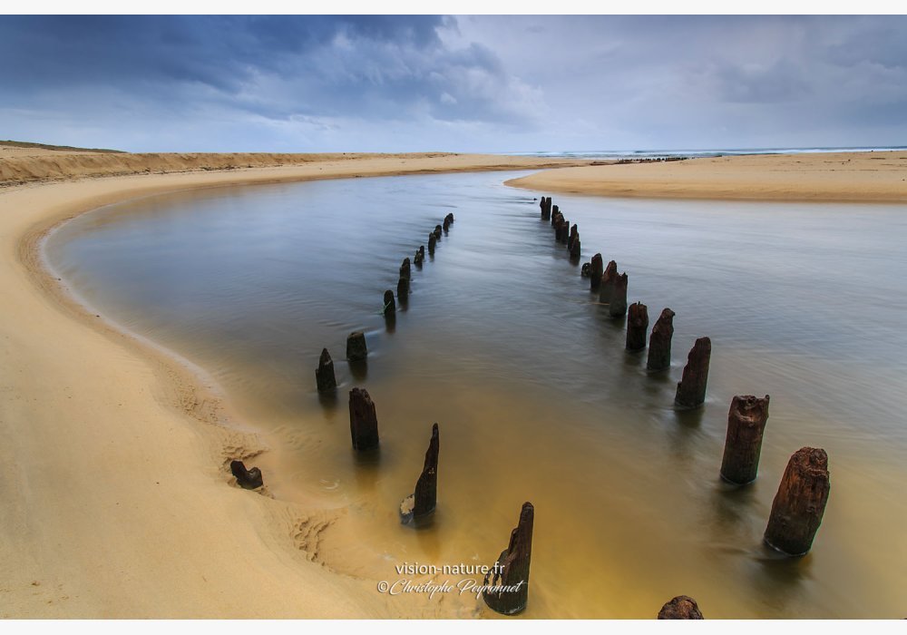 Paysages des Landes : Le courant d’Huchet