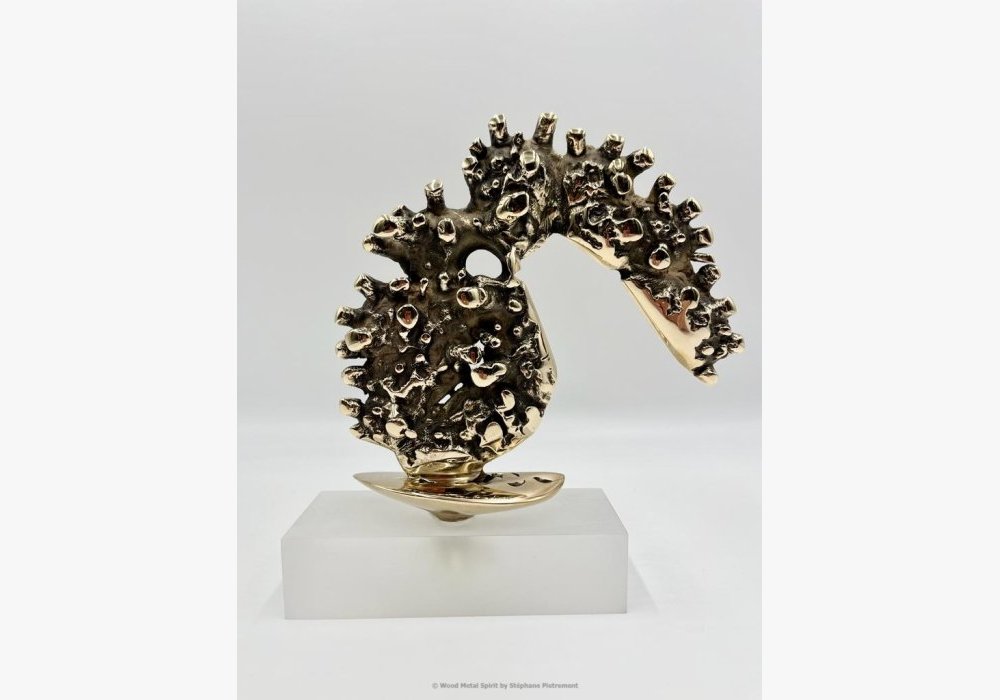 Bronze Freestyle doré poli sur socle en plexiglass - Pièce Unique 1/1 - Biodiversité Marine. réf 79 - Poids : 1kg 350