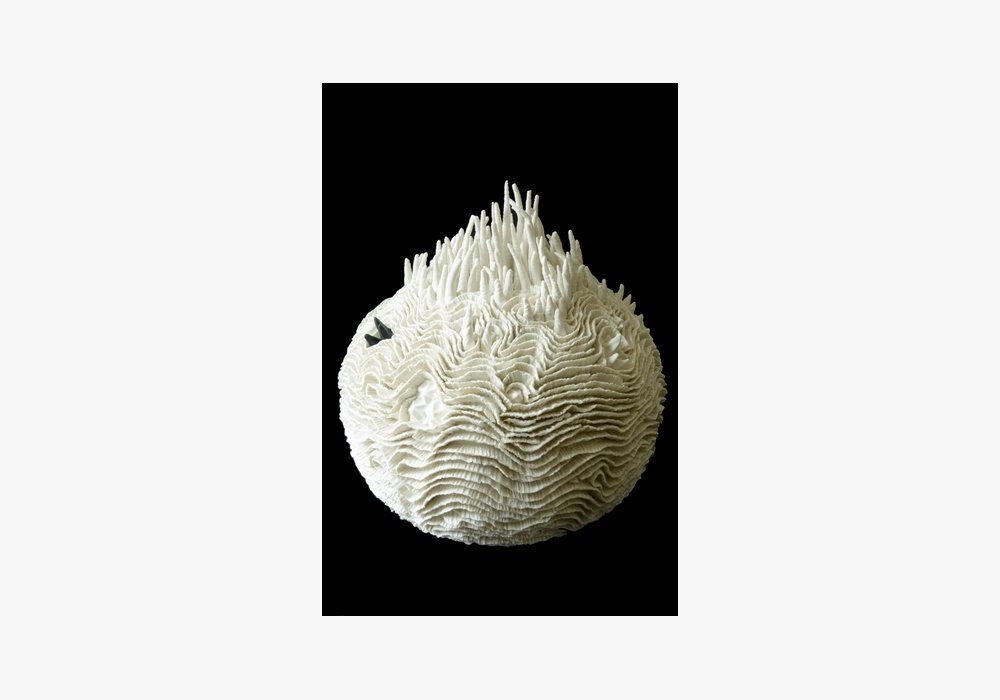 HETERACTIS    Porcelaine      Diam : 26 cm Hauteur : 40 cm
