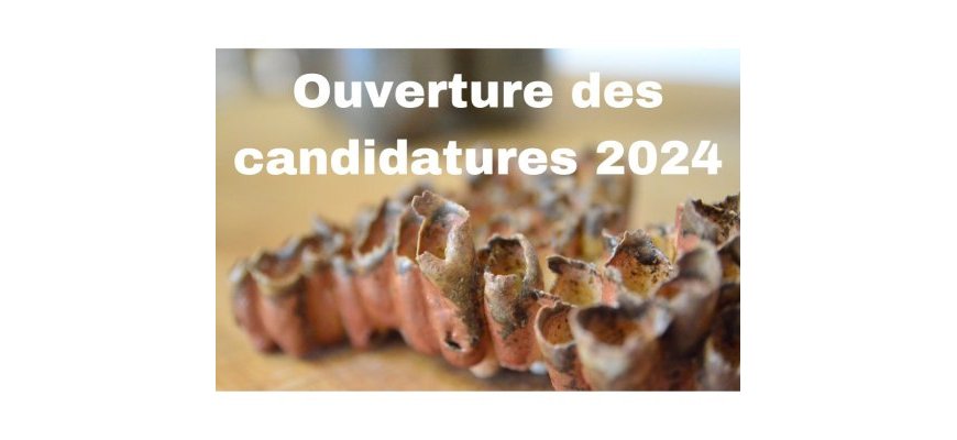 Marché Céramique de Bussière-Badil 2024