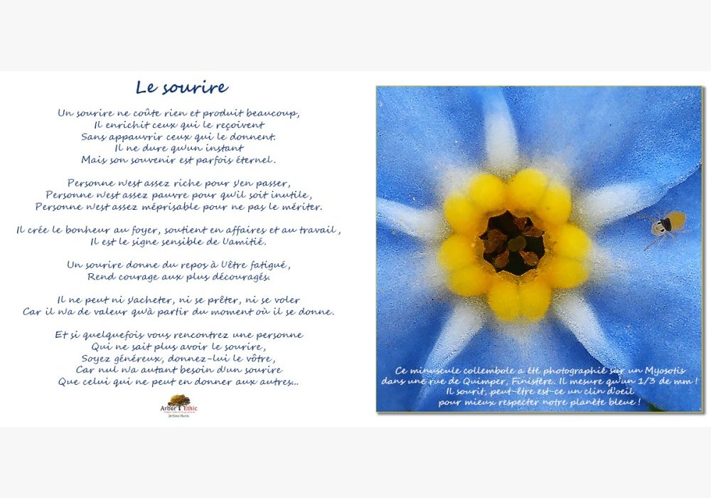collembole, uns sourire pour la planète !