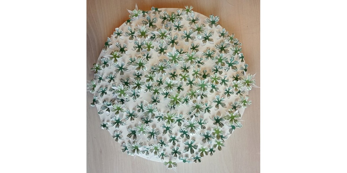 floraison