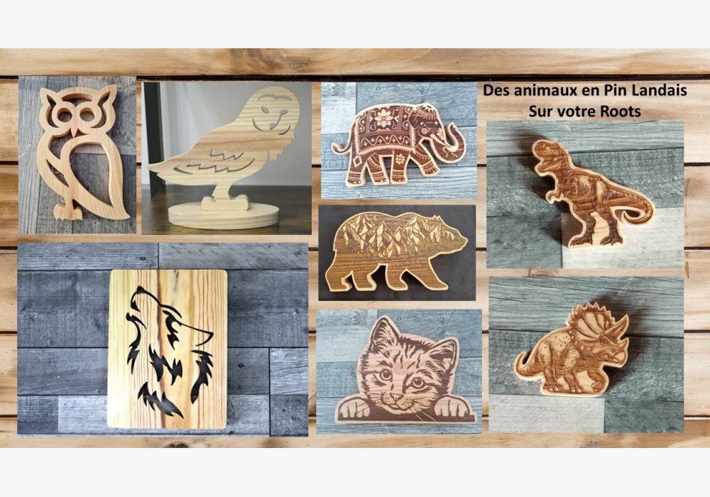 Des animaux 