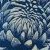 chrysanthème 