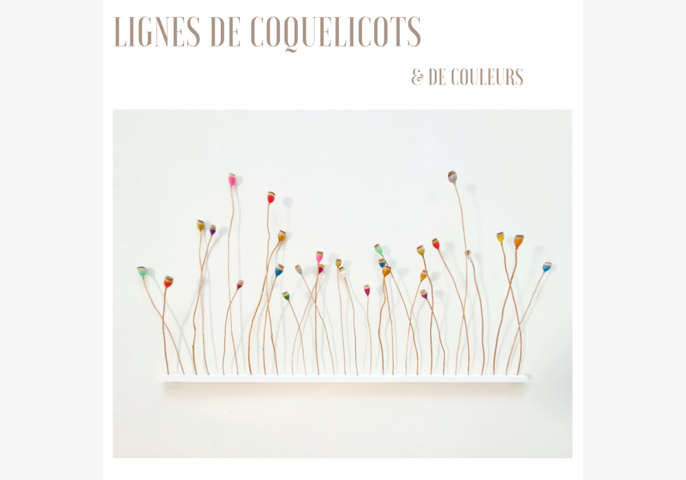 Ligne de coquelicots