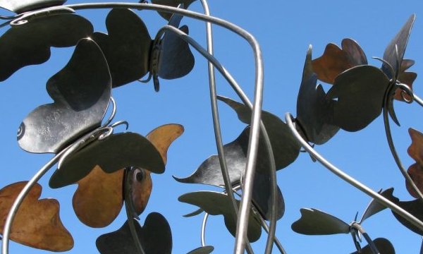 Papillons