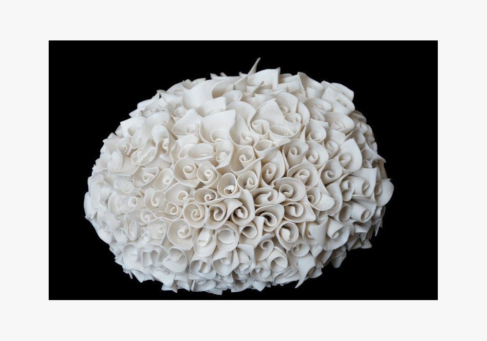 SOLENASTREA  Porcelaine 19x17x12 cm
