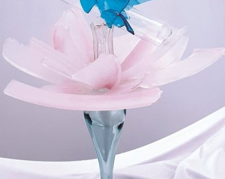 Morpho