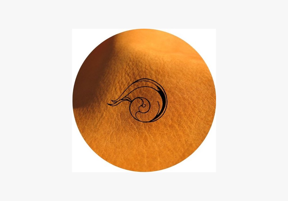 Logo Petit Grain de Peau