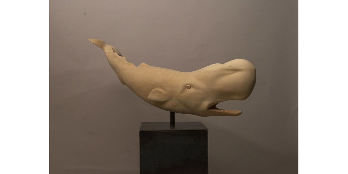 Cachalot, tilleul, 2012