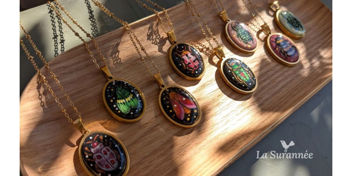 Collection Insectes