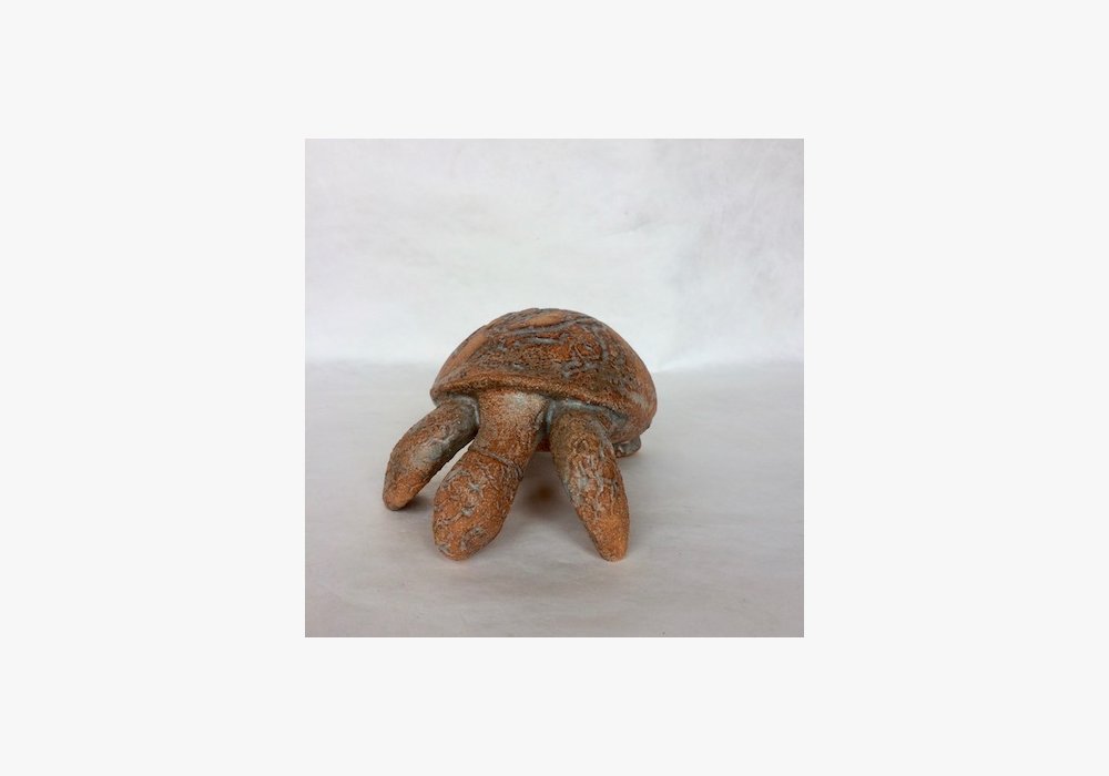 Tortue, Catherine Wolf