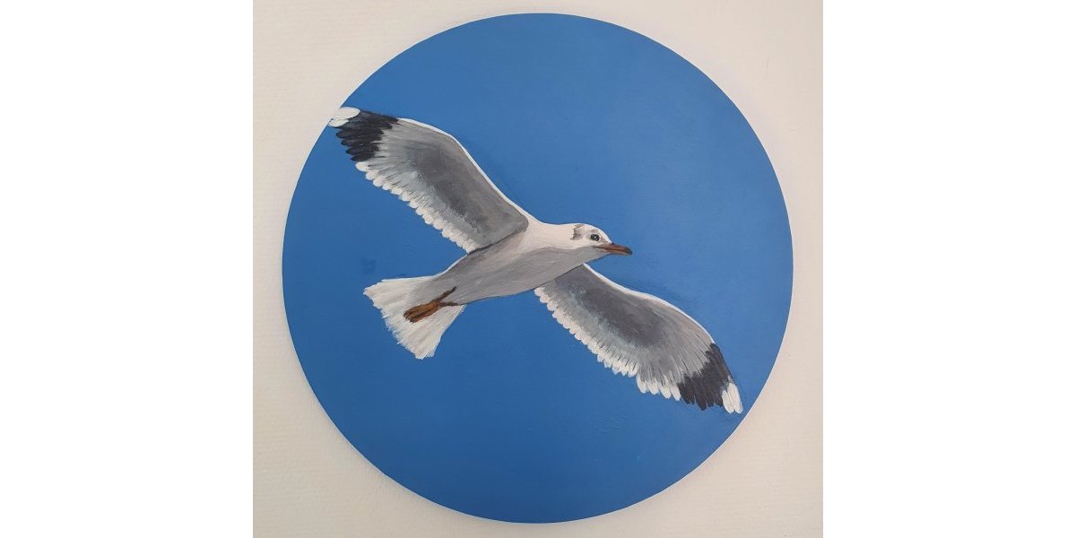 la mouette rieuse