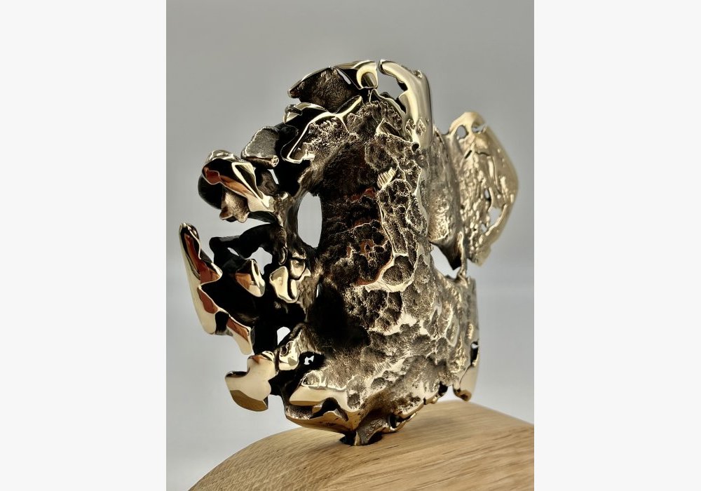 Bronze Freestyle doré poli sur socle en Bois de Chêne multiséculaire sculpté - Pièce Unique 1/1 - Biodiversité Marine réf. 67 - Poids : 1kg 500