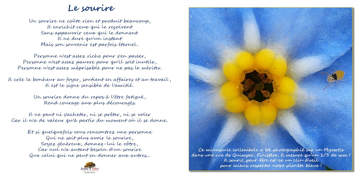 Le Collembole, sourire du monde