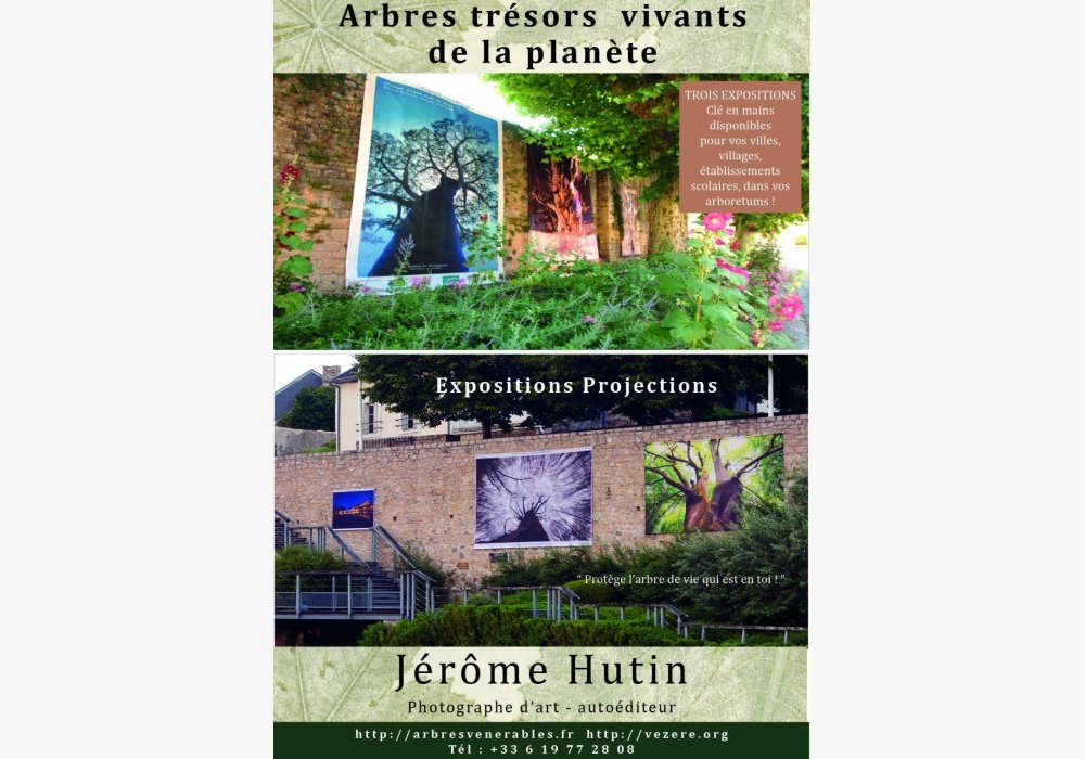 affiche expos géantes 