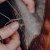 « Diagnostic Transition Ecologique »