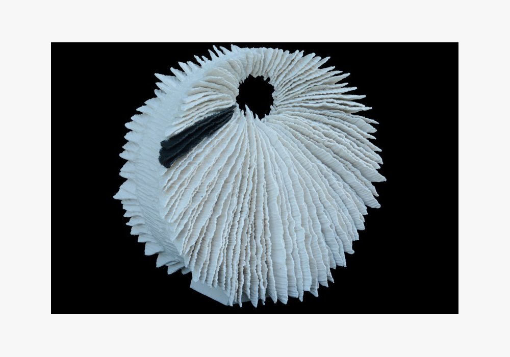 DISCOSOMA  Porcelaine Diam : 26 cm Ep : 13 cm