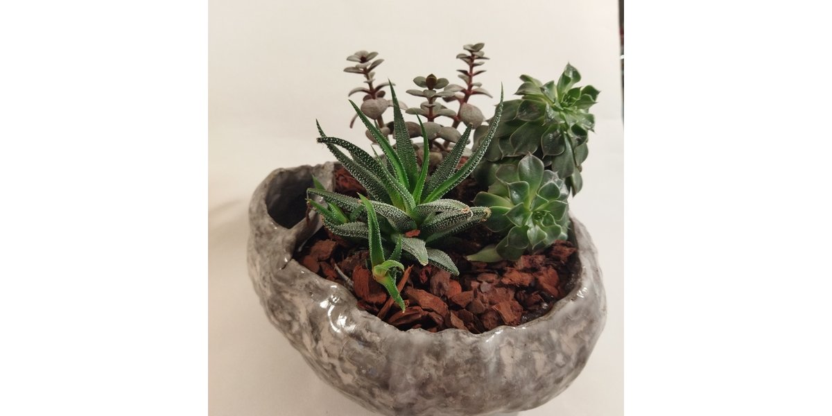 Pot Olla - pot à réservoir intégré