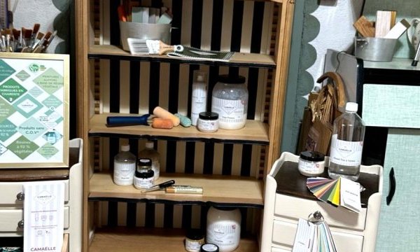 Produits et peinture Camaëlle