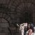 Collaboration artistique - Manser - Grain de Pixel - Elevage de Merlande
