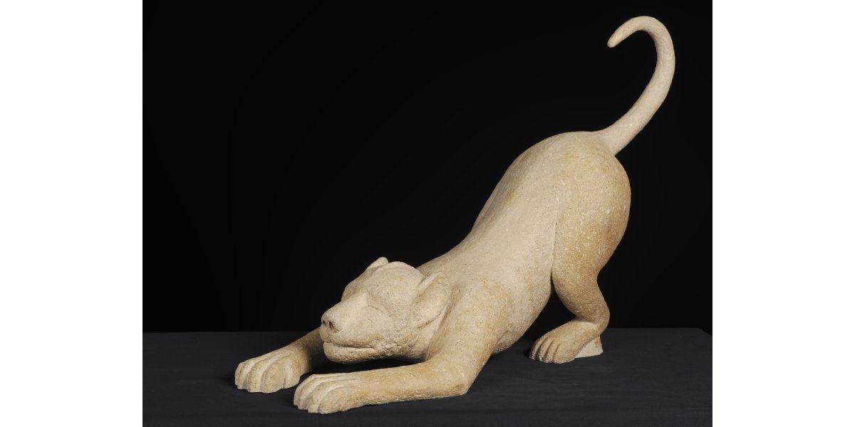 Un jour, je serai roi (Lionceau) 