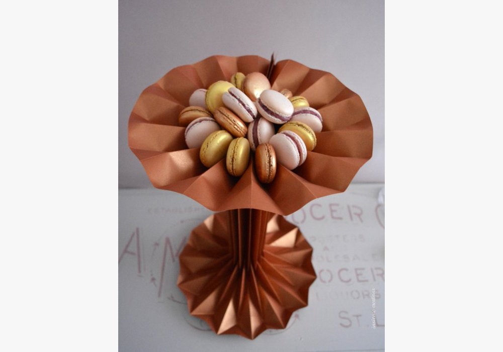 Pleats & Macarons 