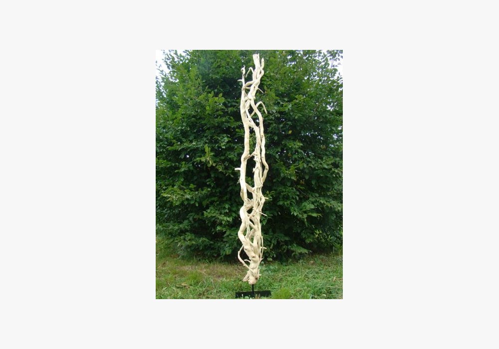Edouard GAUTHIER / EDERA - totem 