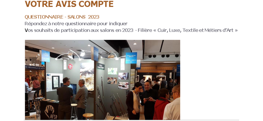 QUESTIONNAIRE - SALONS  2023