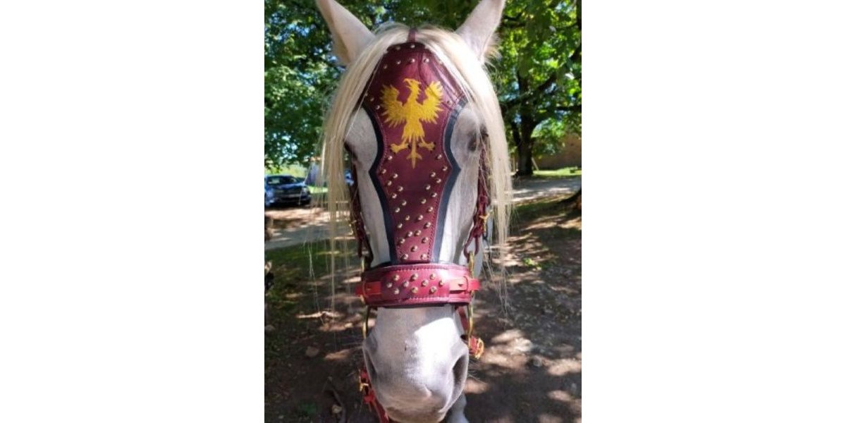 FILET CHEVAL MEDIEVAL