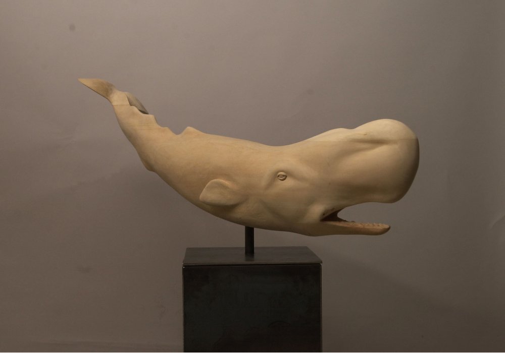Cachalot, tilleul, 2012