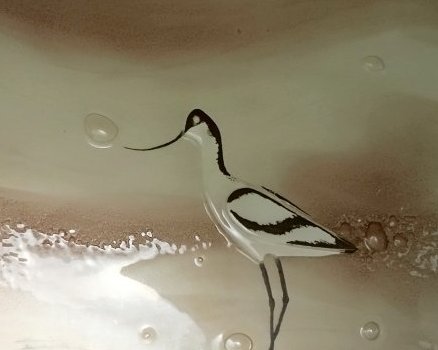 panneau avocette