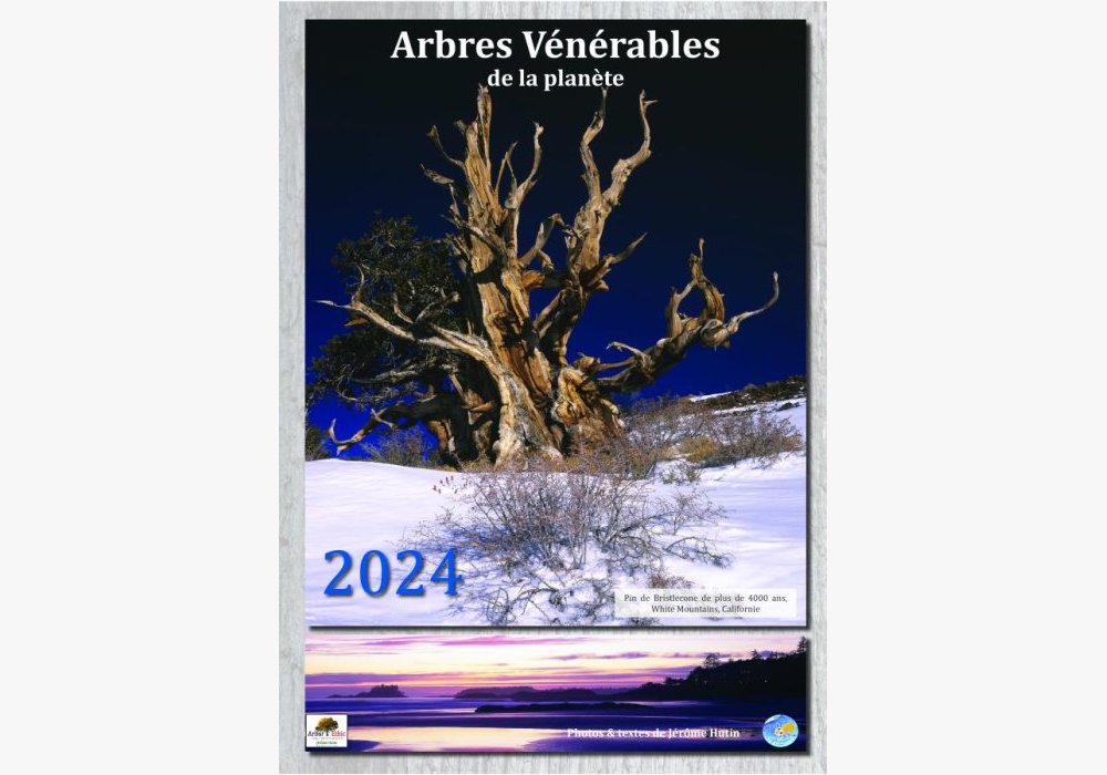 Calendrier 