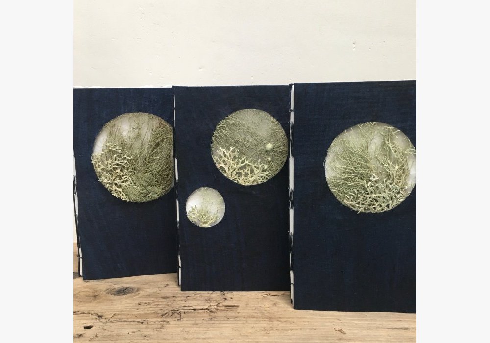 Lichen & indigo
