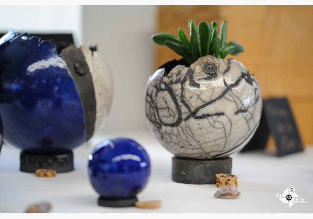 Bulles de plantes en Raku