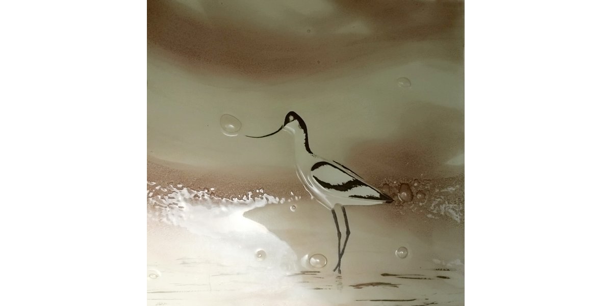 panneau avocette