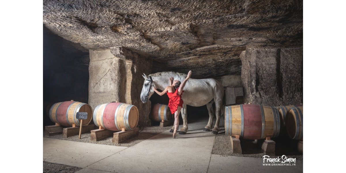 Danse avec les chevaux