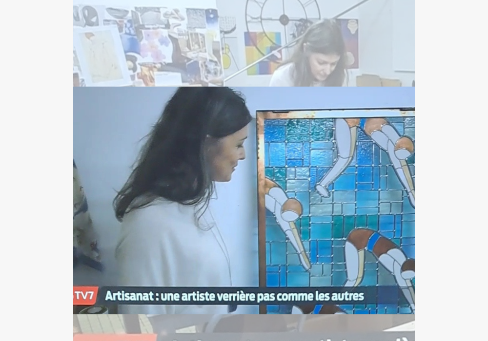 reportage TV7  SUD-OUEST