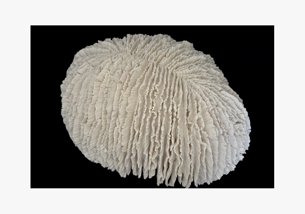 FUNGIA  Porcelaine 30x27x17 cm