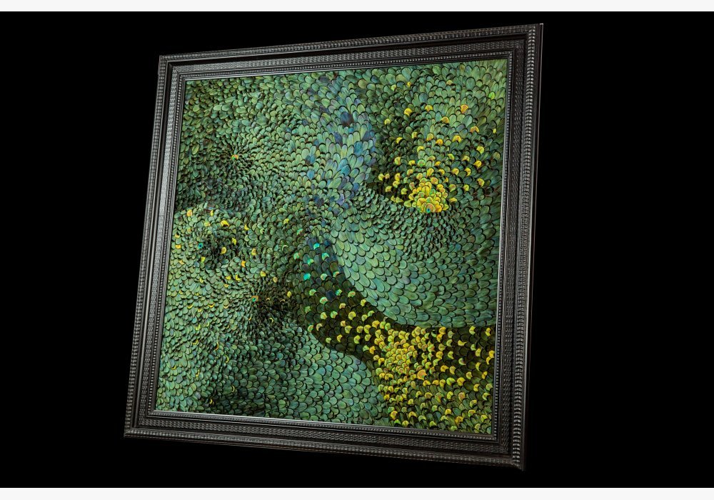 Tableau plumes de Lady Amherst