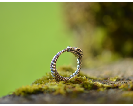 bague Ouroboros - inspiration grecque
