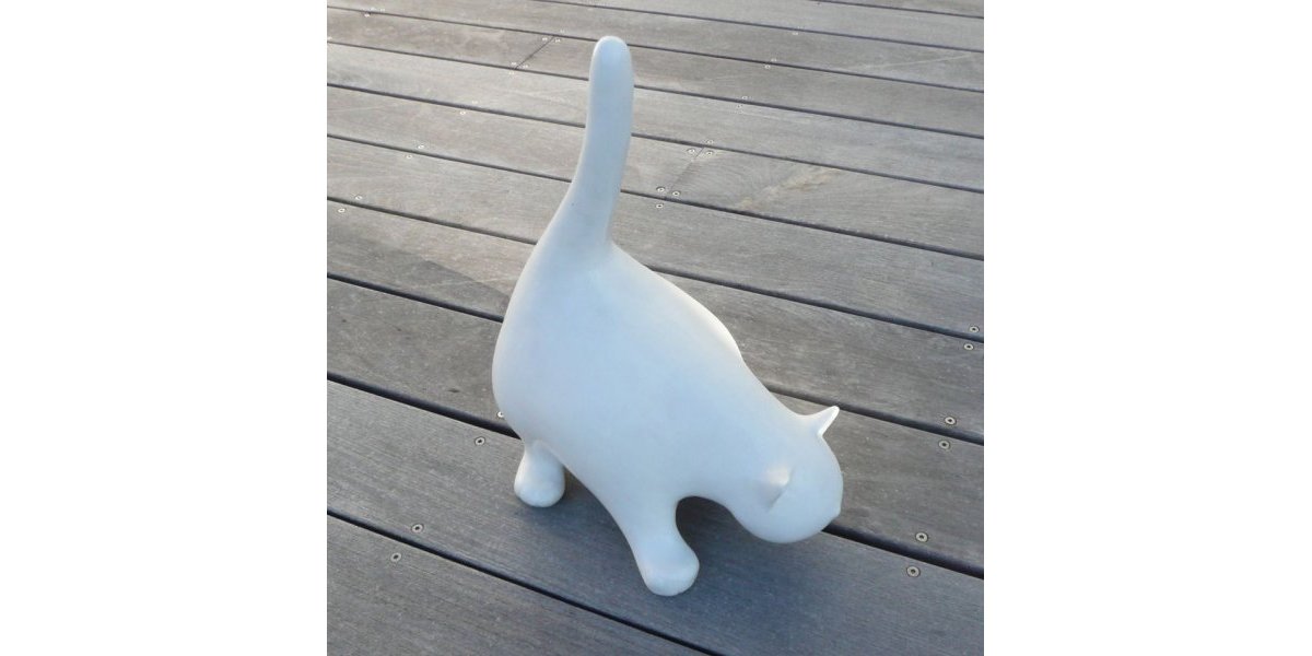 CHAT EN TERRE SIGILLEE