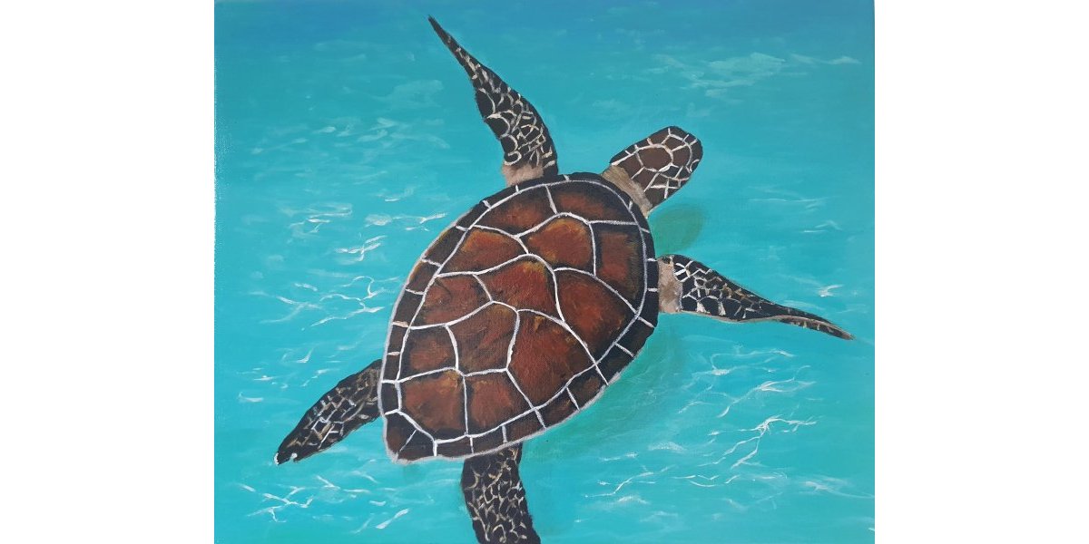 tortue marine