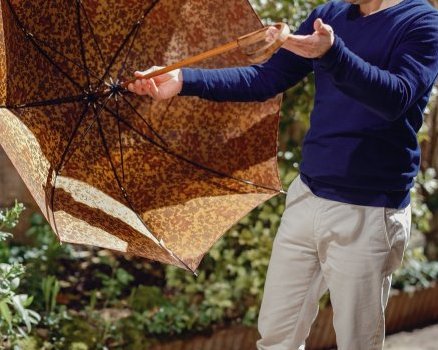 Parapluie Francais