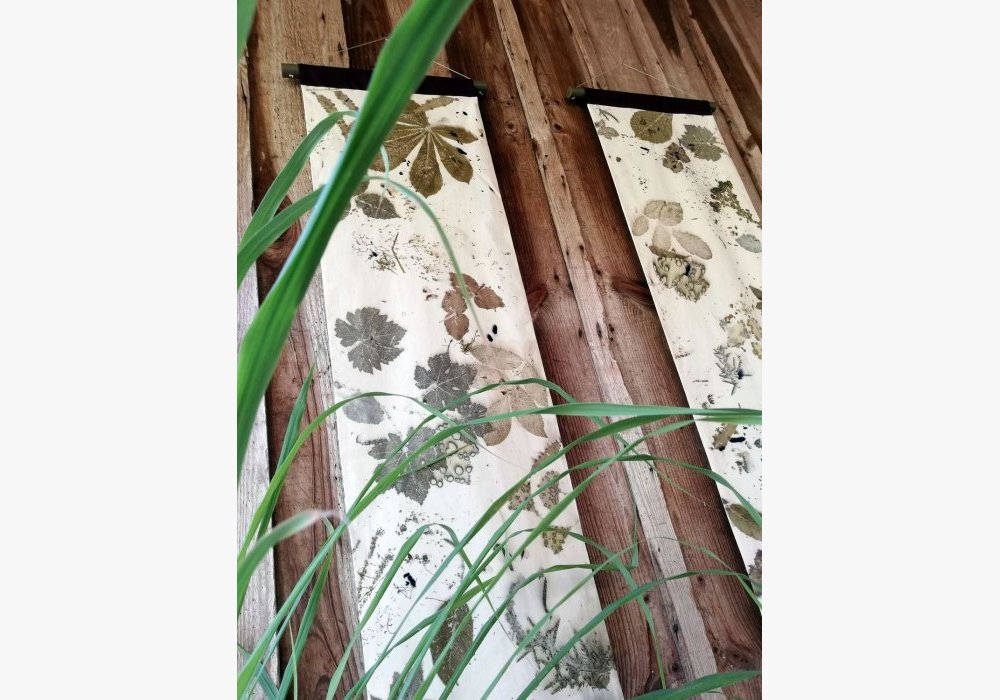 Tenture ecoprint, composition de plantes médicinales