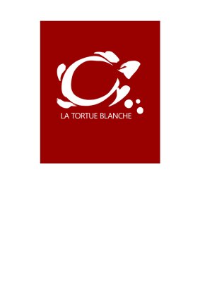 Frédérique PAGEARD   Atelier  LA TORTUE BLANCHE