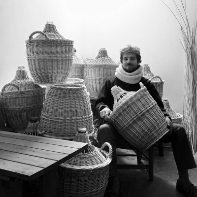 Matthieu DUREY / ABEILLE DES SAULES