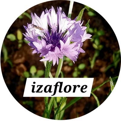 Izaflore