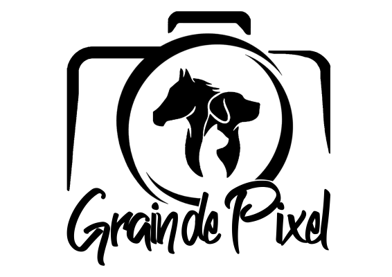 Grain de Pixel