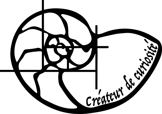 Créateur de Curiosité